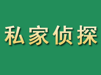 宁河市私家正规侦探